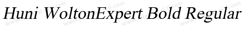Huni WoltonExpert Bold Regular字体转换
